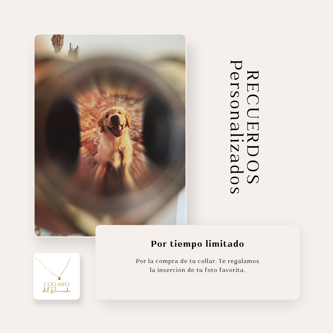 Collar con Recuerdo Proyectado